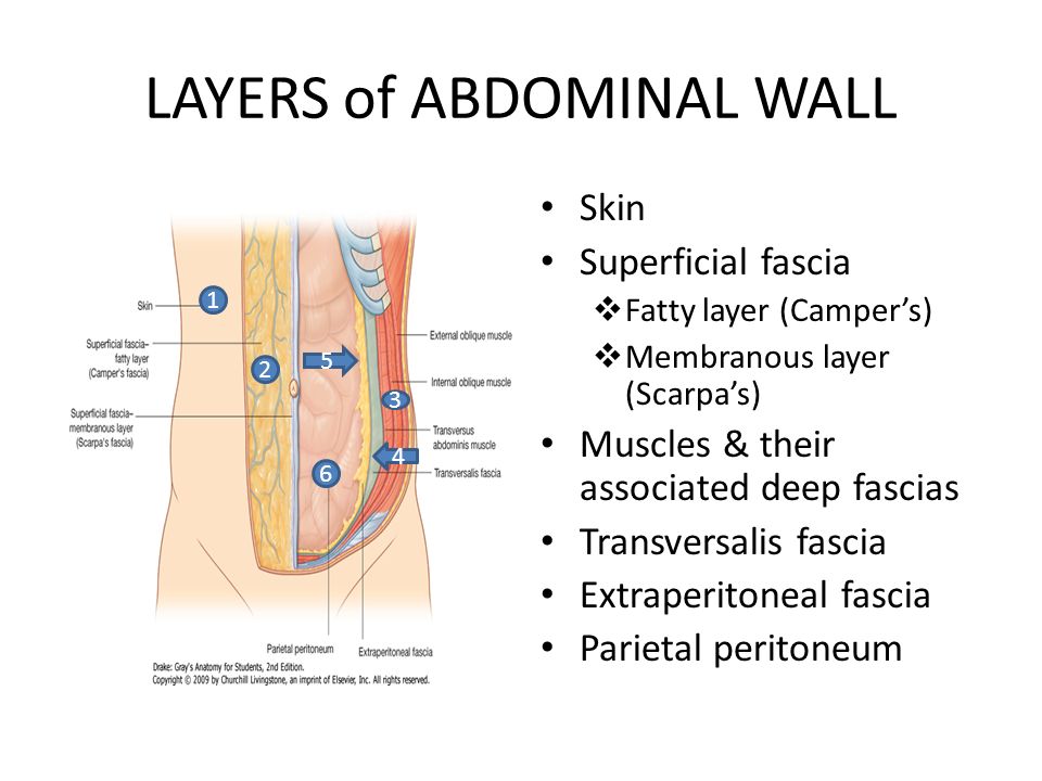 investing abdominal fascia after surgery